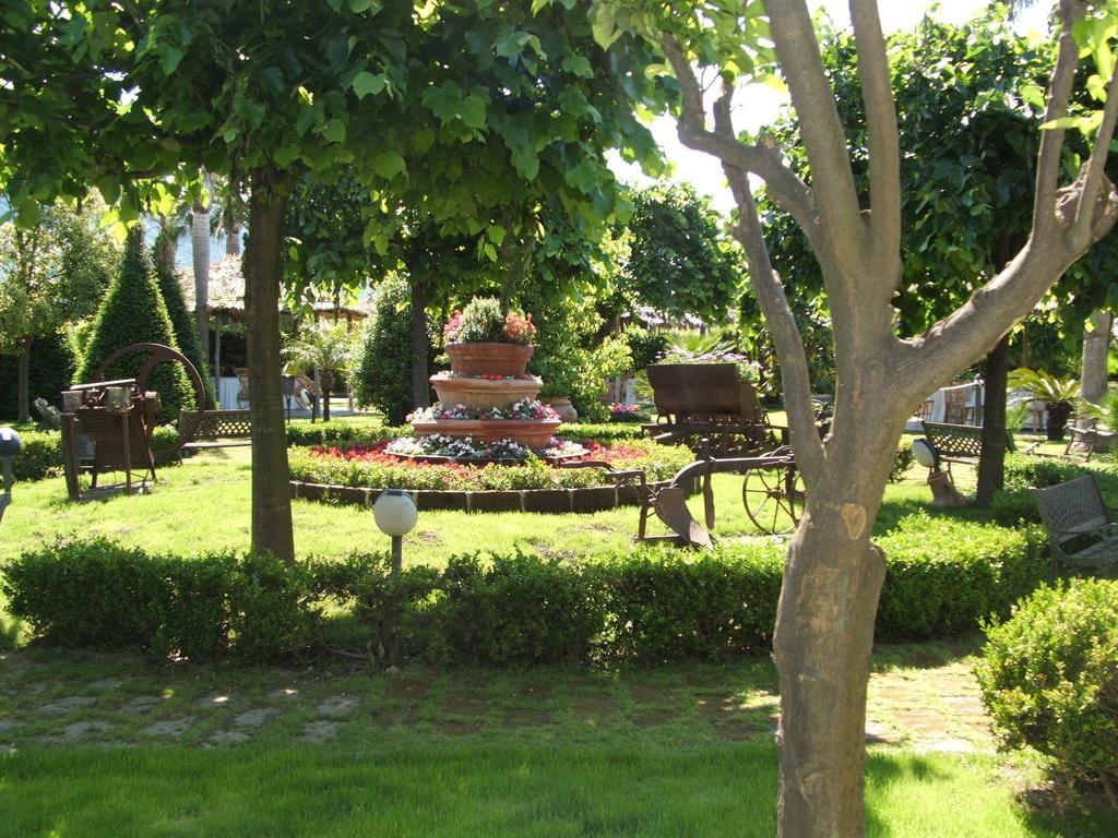 Villa Delle Camelie Gragnano Εξωτερικό φωτογραφία