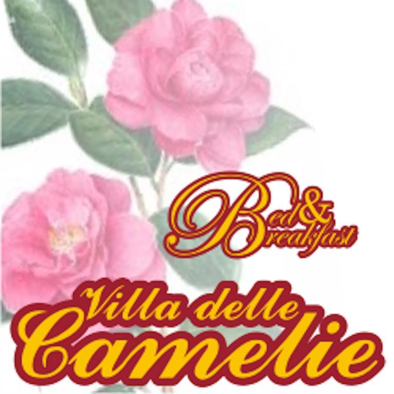 Villa Delle Camelie Gragnano Δωμάτιο φωτογραφία